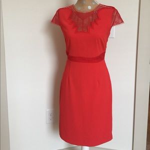 Beautiful Dress 👗